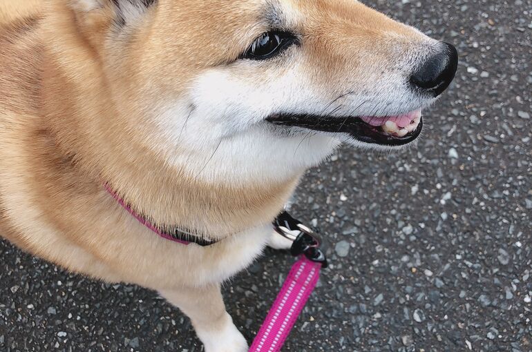 E66DD663-A0C9-4E6A-A281-4FD3F705A497