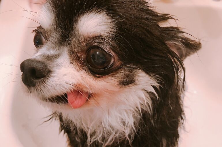 DD26B0CF-57CD-487F-ADB7-5C38AABE838A