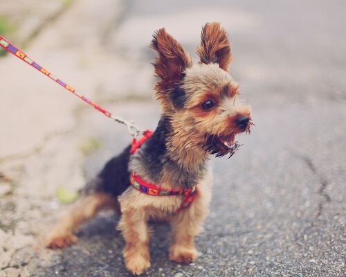 8C02B13F-3C03-4487-8A29-8D936D87C6A0