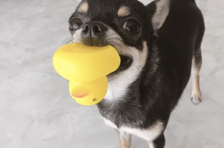 E7BEEB83-857C-4D9A-8ADA-A2E6F5AEE0CD