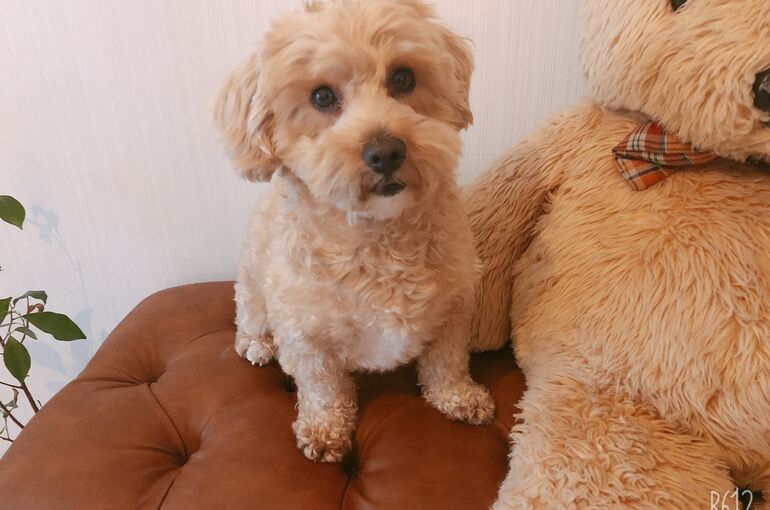 55F1CF30-ADD0-4F18-991F-68E88547F3FA