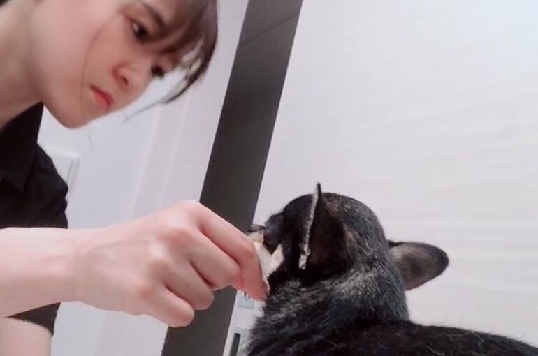 31EF2ED4-FE6C-4368-B9B2-8CED417F534B