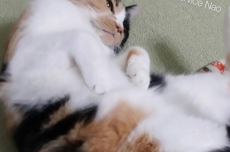 9B47B93A-131E-45C5-94A2-B47739321F9B