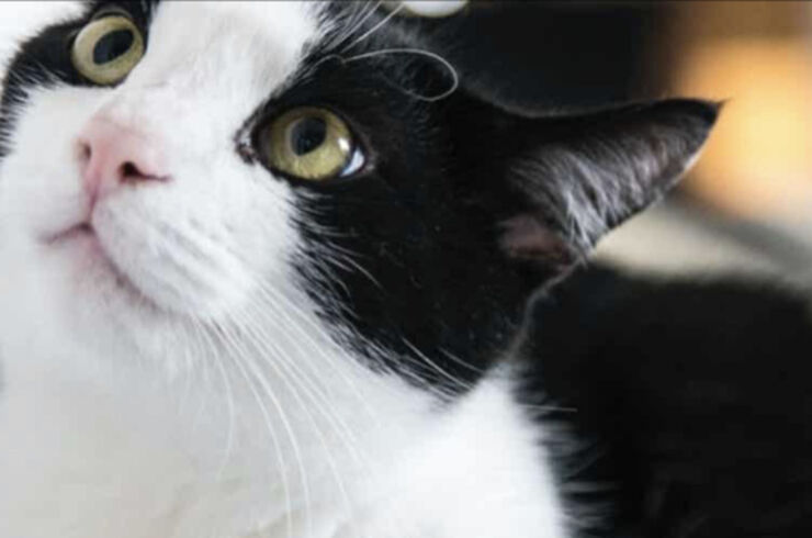 65ADA90F-0742-4A5D-A738-7A5A9F996188