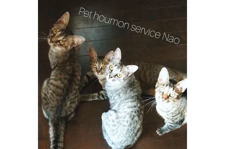 1F4355A8-515F-45D8-9CB2-9D1399F7E60D