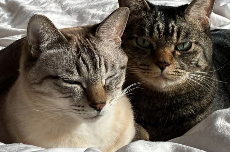 image2 (1)